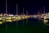 Roses. Port