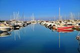 Roses. Port