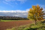 Arnes