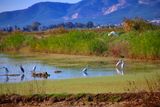 Parc Natural del Delta de lEbre