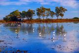 Parc Natural del Delta de lEbre