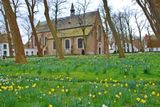 Bruges. Begijnhof