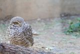 zoo_2022_20221112_000966-2.jpg