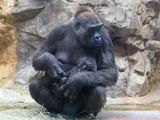 zoo_2022_20221112_001270-2.jpg
