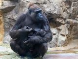 zoo_2022_20221112_001278-2.jpg