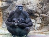 zoo_2022_20221112_001340-2.jpg