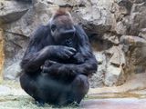 zoo_2022_20221112_001384-2.jpg