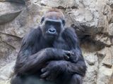 zoo_2022_20221112_001467-2.jpg