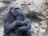 zoo_2022_20221112_001471-2.jpg