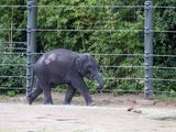 zoo_2022_20221111_000611.jpg