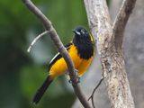 zoo_2022_20221111_000618.jpg