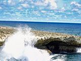 cruise_202220221028_000467.jpg