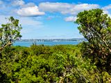 NZ_AUS_002422_20230307.jpg