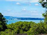 NZ_AUS_002423_20230307.jpg