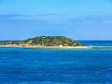NZ_AUS_002542_20230316.jpg