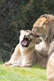 zoo_feb_2025_051528.jpg