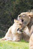 zoo_feb_2025_051529.jpg