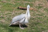 zoo_feb_2025_051540.jpg
