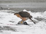 DSC_5629.JPG