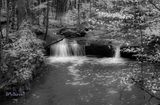 Z63_3229.JPG