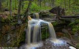 Z63_3238-Edit.JPG