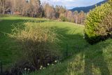 notre jardin  Aubure
