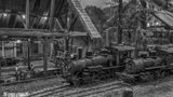 Model Train Show