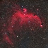 Seagull Nebula (ic2177)