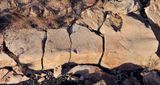 Benahoarite petroglyphs