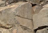 Benahoarite petroglyphs