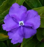 Kiryat-Motskin_1-1-2023 (11).JPG