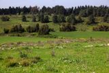 Ramot-Menashe_4-3-2023 (13).JPG