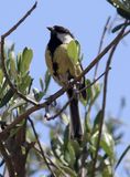 Kiryat-Bialik_3-4-2023 (34).JPG