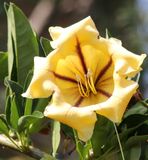 Pardes-Hana_1-5-2023 (1).JPG