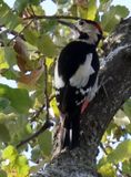 Pardes-Hana_18-1-2024 (75).JPG