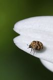 Home-Garden_22-4-2024 (30).JPG