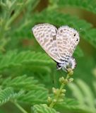 Kiryat-Bialik_28-5-2024 (77).JPG