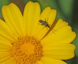 Nahariya_5-4-2024 (138).JPG