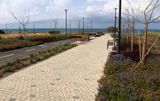 Nahariya_6-3-2024 (63).JPG