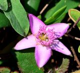 Nahariya_24-8-2024 (17).JPG