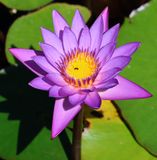 Kiryat-Bialik_12-9-2024 (76).JPG