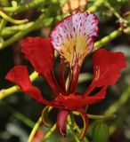 Kiryat-Bialik_12-9-2024 (72).JPG