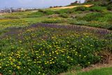 Nahariya_11-4-2024 (5).JPG