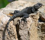 Nahariya_5-4-2024 (112).JPG