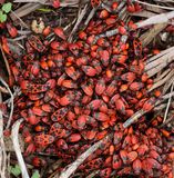 Naaman_7-12-2023 (59).JPG