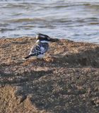 Nahariya_6-1-2025 (77).JPG