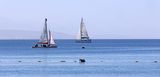 Eilat_12-3-2024 (36).JPG