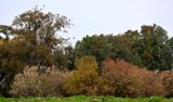 Ein-Afek_4-3-2025 (79).JPG