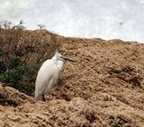 Nahariya_12-4-2025 (1).JPG