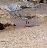 Nahariya_16-3-2025 (10).JPG